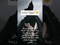 #اكسبلور #قصص #قصص_قبل_النوم #أرنب#البطل #ارنب #التعلم_الممتع #تعلم_باللعب #معلومات #شجاع
