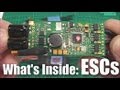 What's inside: ESCs