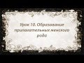 Французский язык. Урок 10. Образование прилагательных женского рода