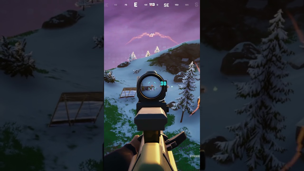 Long-range shot with an Assault Rifle #5 