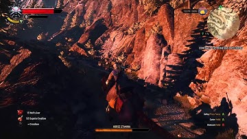 Witcher 3: Wild Hunt NVIDIA ShadowPlay Testing 1080p 60fps