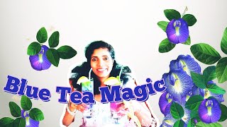DIY Blue Tea  (Butterfly pea flower tea) Caffeine less Herbal Tea  and it's Health properties🌱