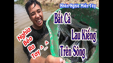 Bắt Cá Lau Kiếng Trên Sông...l Nhân Nghĩa Miền Tây l.