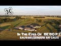 Ref:22DOCSXiWto In the eyes of bb2 sausseuzemare en caux parrot bebop2