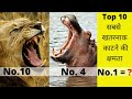 सबसे खतरनाक काटने की क्षमता । TOP 10 DEADLIEST ANIMAL BITES | Bite Force of Animal