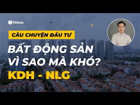 Chuyện gì đã xảy ra với các doanh nghiệp Bất Động Sản? CEO, DIG, NVL | CÂU CHUYỆN ĐẦU TƯ #41