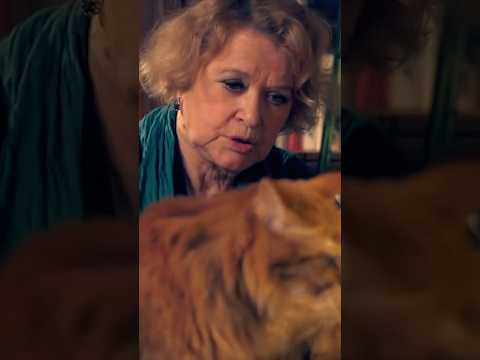 Кошки Валентины Талызиной #актриса #кошка #кот #любовь #домашниеживотные #Талызина #Виктюк