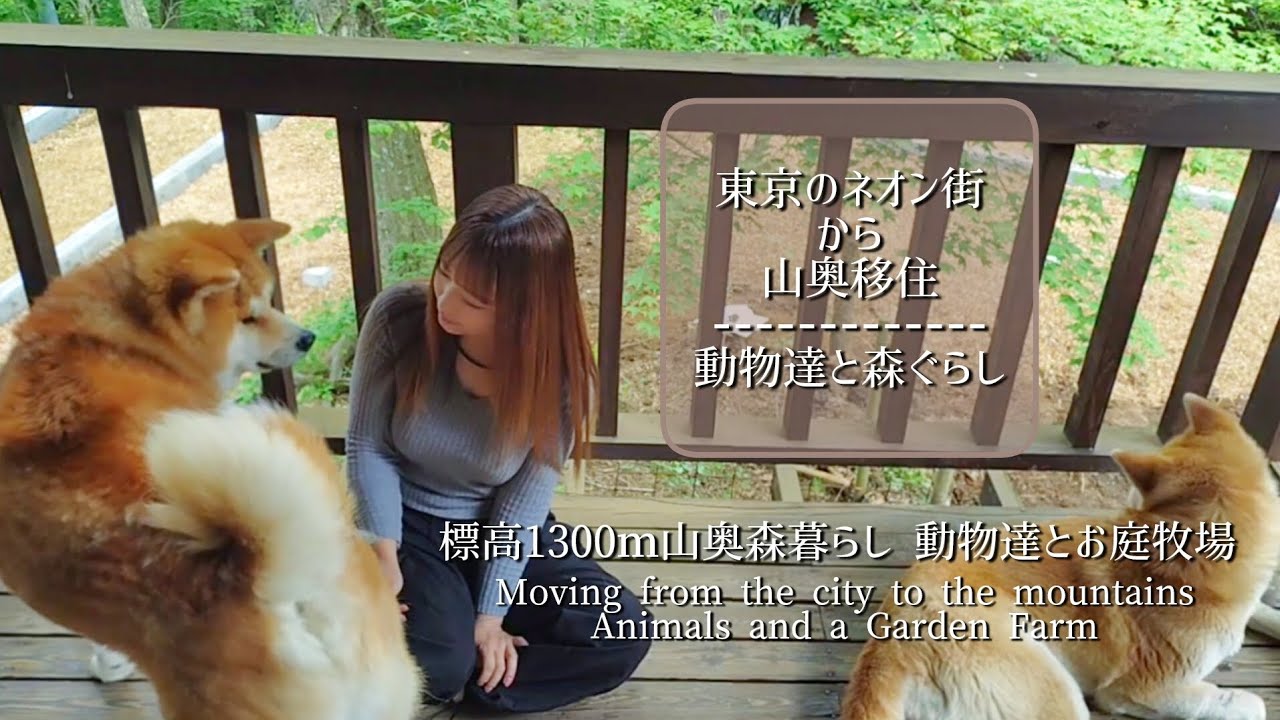 標高1300m山奥森暮らし どうぶつ達とお庭牧場