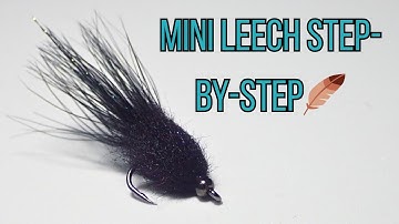 Zwarte Mini Leech Streamer | Eenvoudige beginnersdemo voor vliegvissen