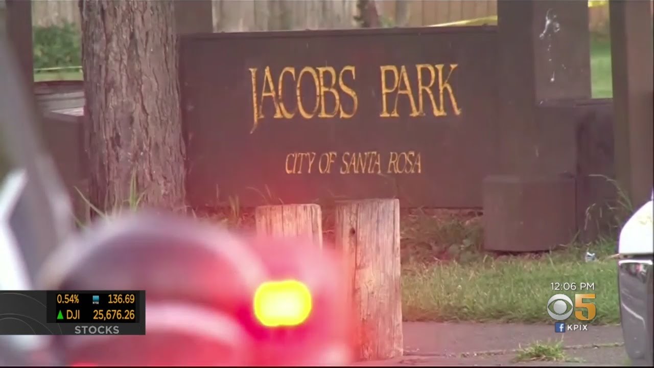 Search On For Gunman After Santa Rosa Shooting - YouTube