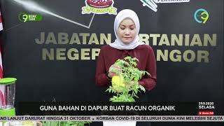 Guna Bahan Di Dapur Buat Racun Organik