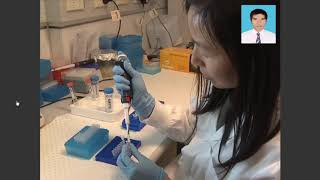 DNA methylation bisulphite modification and analysis