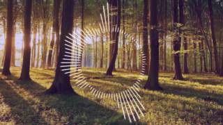 Spinus - Bounce Addict