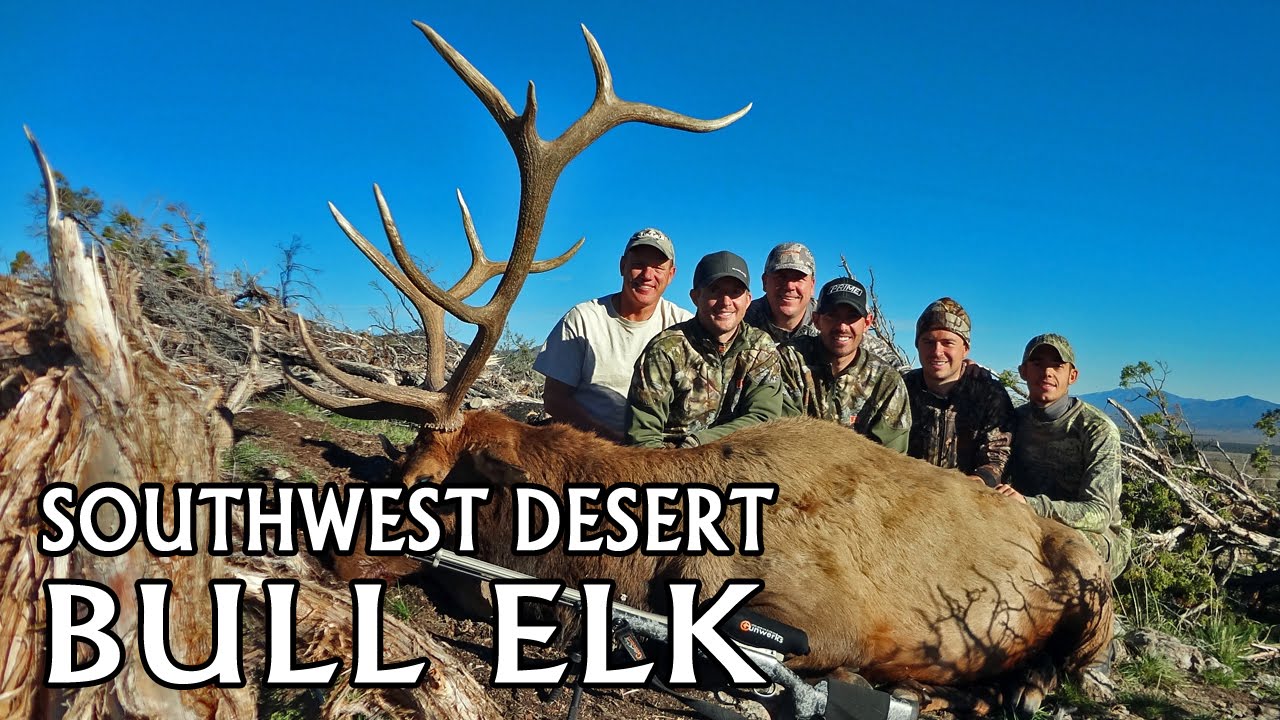 2013 Southwest Desert Limited Entry Elk YouTube 2013-southwest-desert-limited-entry-elk-youtube