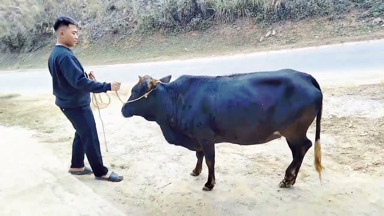 Hai vợ chồng ♥️♥️♥️😀😃😃😄😄😃😄😀😄😁😁😆😁😆