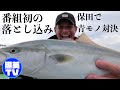 【落としこみ】食物連鎖を作り出せ！チャレンジ対決！【カンパチ】
