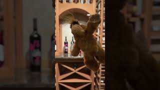 Alf #80s #80stv #tvshow