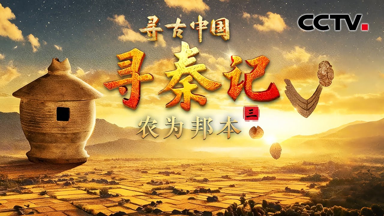 考古发现2000多年前的垃圾桶，考古队从3升土里淘出秦人食谱！《寻秦记·农为邦本》| CCTV「寻古中国」20251216