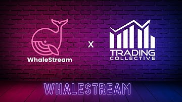 WhaleStream Option Flow Platform | UPDATE!