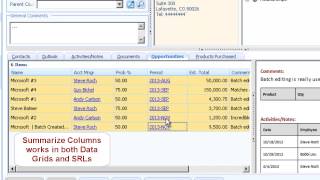 Summarize Columns Feature in Productivity Pack
