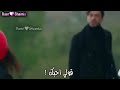 حالات واتساب احبك الاعتراف بالحب