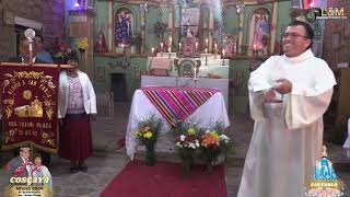 San Pedro - San Pablo. Coscaya, 2024. Parte 9.