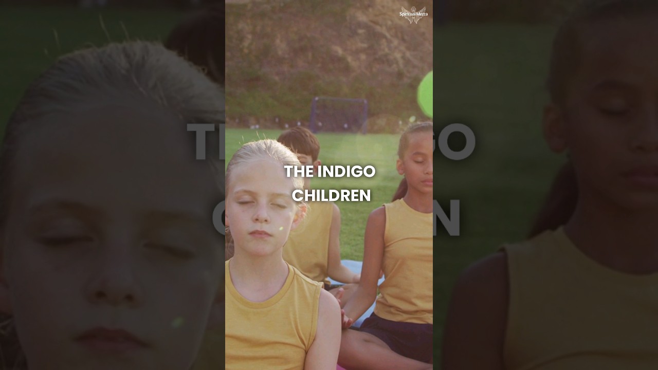 The Indigo Children 