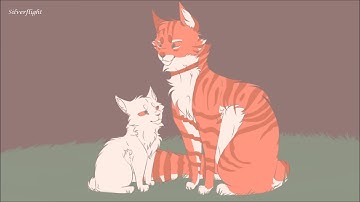 Part 5 -Colour Palette PMV MAP