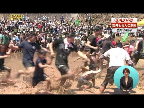 市政番組高崎もぎたて情報「吉井どろんこ祭り」（2016年5月）