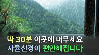 자율신경 안정을 위한 부교감신경을 활성화하는 음이온 에너지 여행
