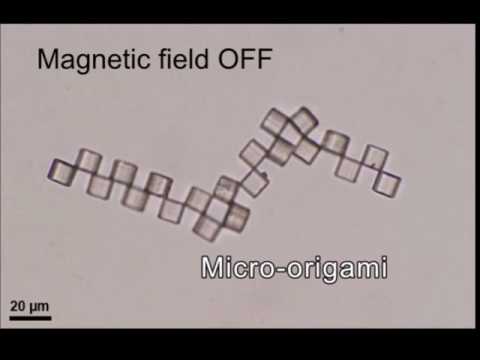 Watch a micro Pac-man capture a live cell - Watch a micro Pac-man capture a live cell