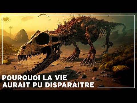 Vidéo: Qu'y a-t-il après l'apogée ?