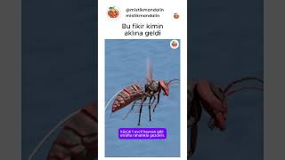 Neden Böyle Bir Şey Yapalım? Ig&Yt: