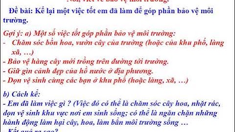 Bài văn tả về môi trường lớp 3 năm 2024