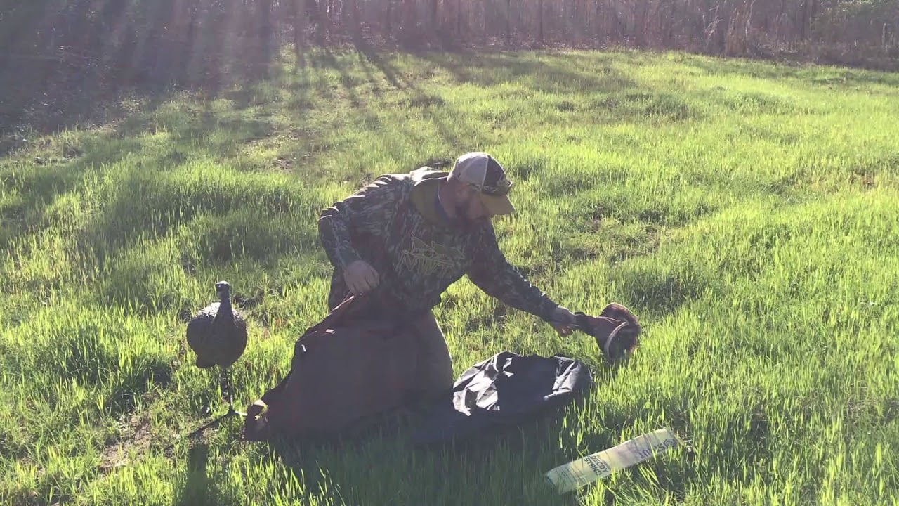 Cheap Turkey Decoy Bag YouTube