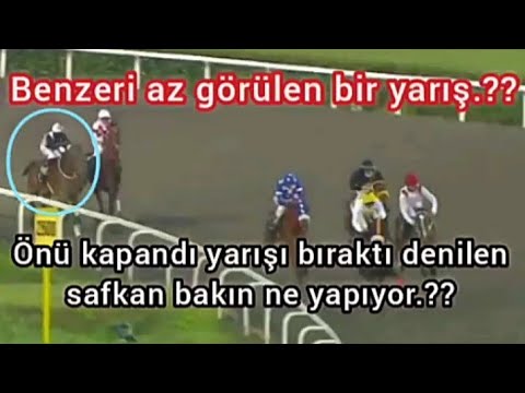 Önü kapandı yarışı bıraktı denilen safkan bakın ne yapıyor.??