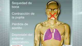 Todo sobre drogas: Heroína II.avi