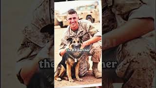 The Bride Screamed As A Muddy Dog Ruined Her Dress... Then She Saw The Tag 😭