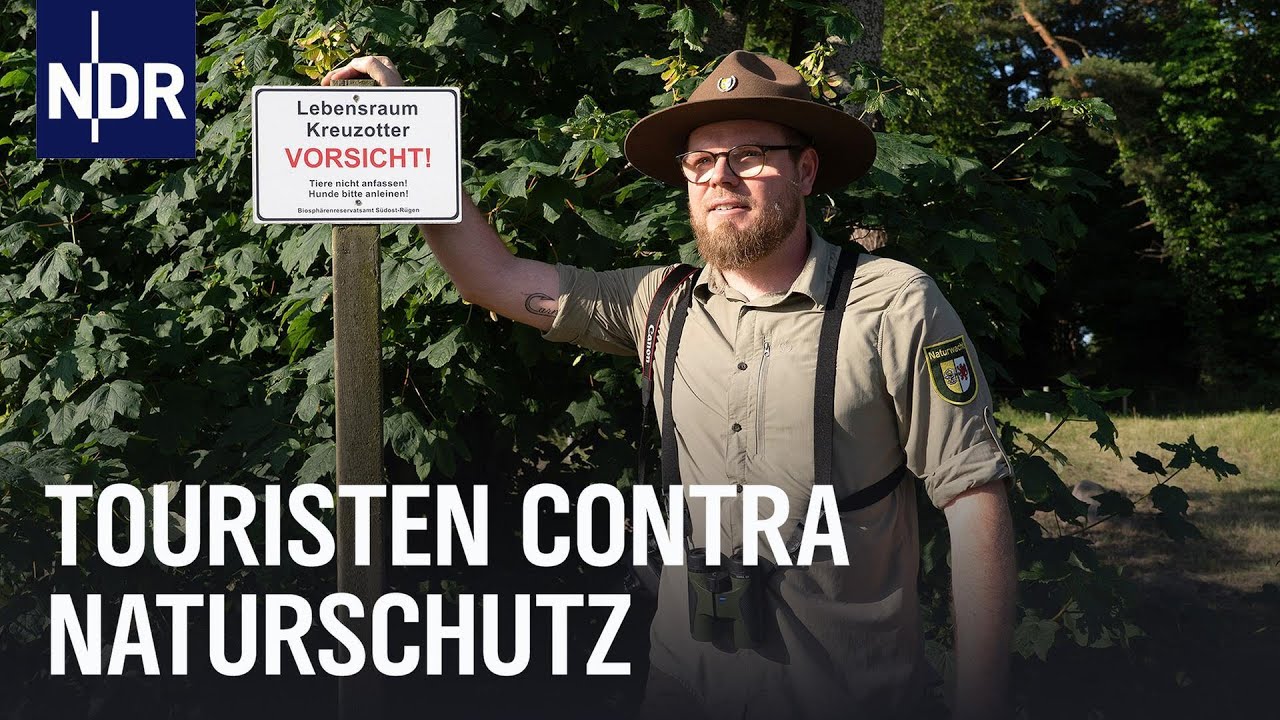 Wildes Rügen - zwischen Tourismus und bedrohten Arten | Die Nordreportage | NDR Doku