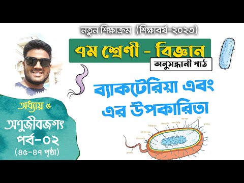 ভিডিও: কোন অ্যান্টিবায়োটিক ব্যাকটেরিয়া প্রোটিন উৎপাদনে বাধা দেয়?