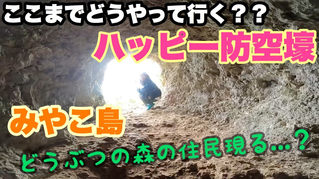 初心者向け ブログ記事に写真を載せる時の注意点 Word Press Rinakojima