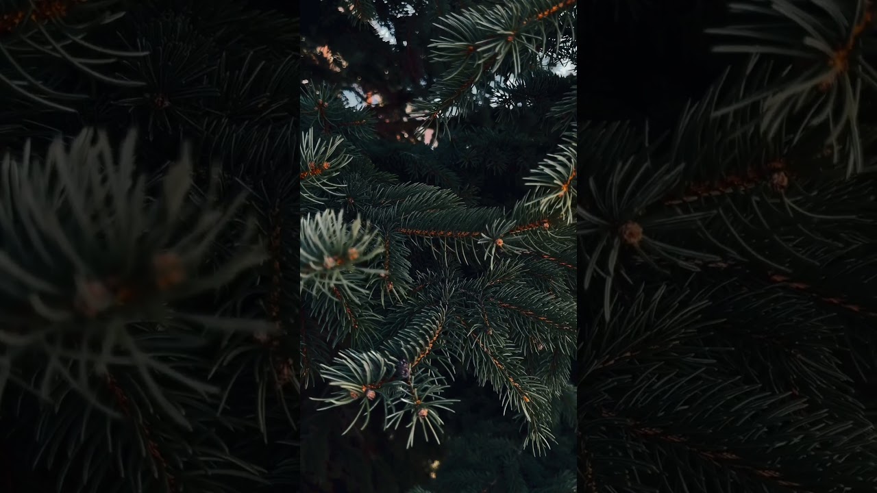 Memories, all the things you’ve seen. 