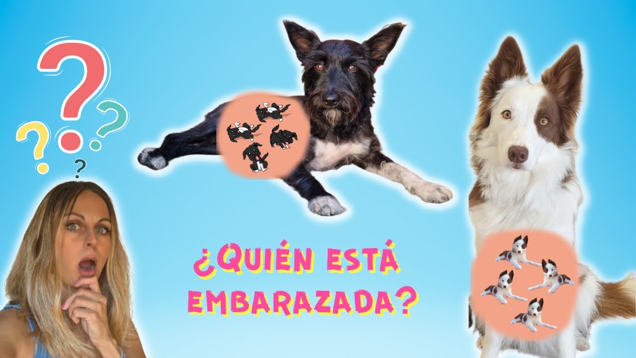 ¿Quién está EMBARAZADA? Lana o Mel?