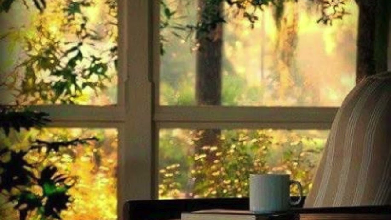 سلسلة حديث كل يوم | الحلقة 4 – الحياء لا يأتي إلا بخير: سر الخير في حياتك