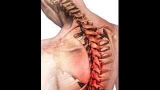 Лист хрена при шейном остеохондрозе Лист хрена при шейном остеохондрозе