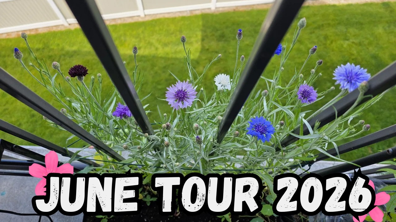 June Garden 2026 Tour