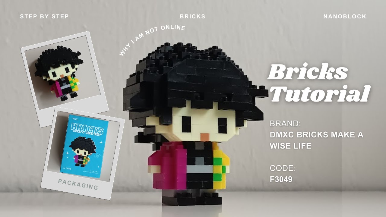 How to Build Giyu Tomioka Demon Slayer | DMXC Bricks Make a Wise Life F3049 | 213 Pieces