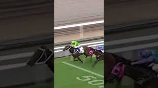 SUPER FORTUNE - M. F. Poon #MFPoon #MatthewPoon #Poon #Racing #Sport #Shorts #賽馬短片
