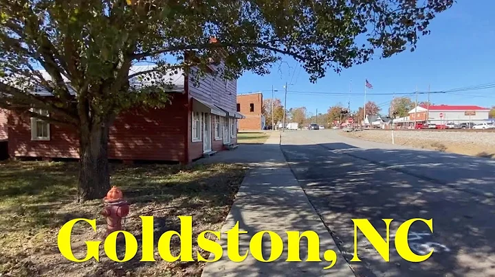 I'm visiting every town in NC - Goldston, NC - Wal...