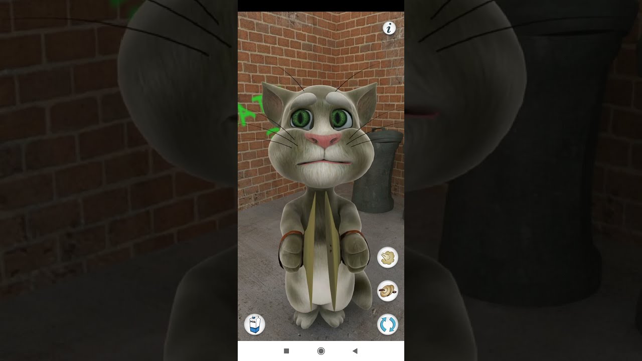 Talking Tom Cat Old Version